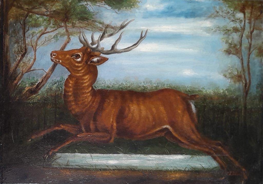 Cerf courant