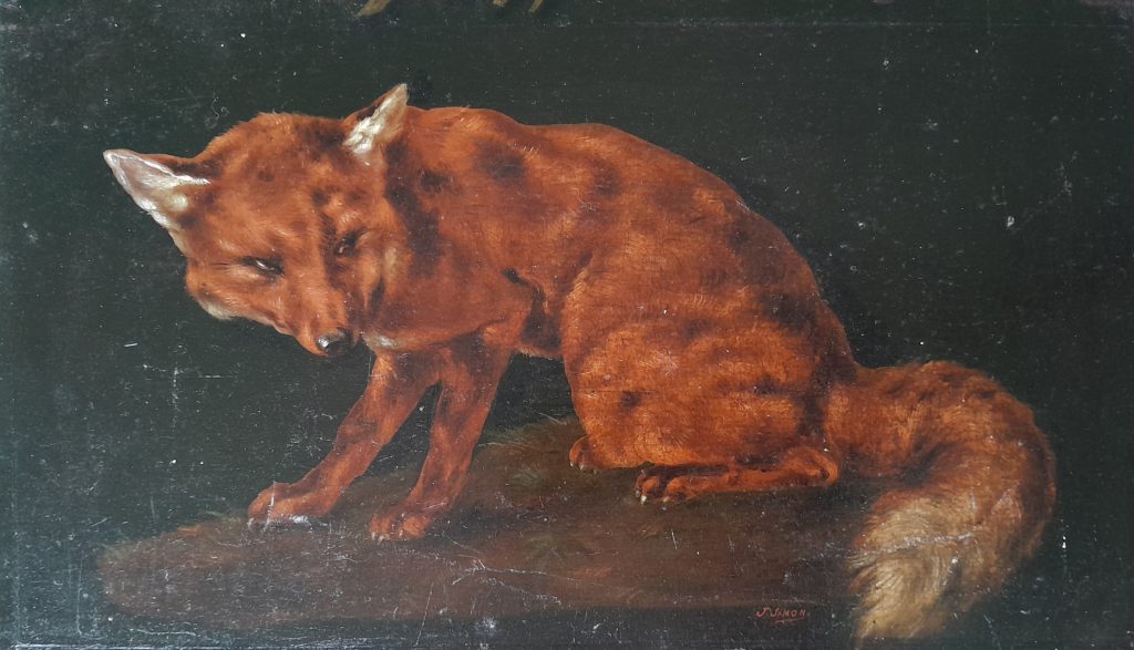 Renard